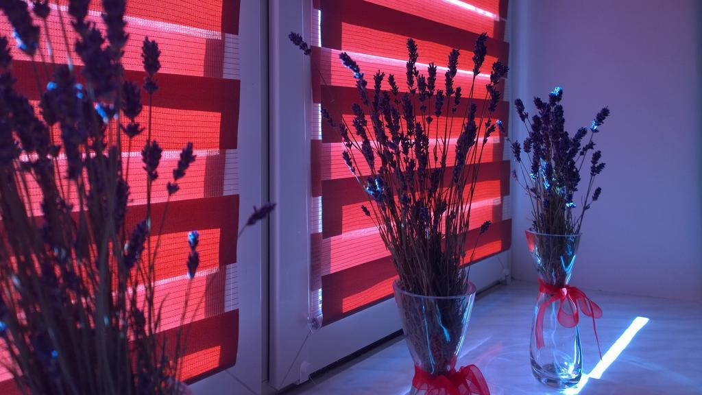 Apartament W Krakowie מראה חיצוני תמונה